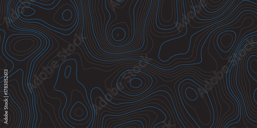 Abstract topographic map background with smooth contour lines in dark shades and subtle blue highlights. Modern minimalistic design, ideal for technology, geography, or data visualization concepts.