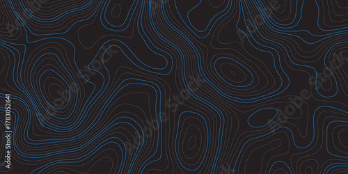 Abstract topographic map background with smooth contour lines in dark shades and subtle blue highlights. Modern minimalistic design, ideal for technology, geography, or data visualization concepts.