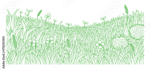 Grass doodle sketch collection. Hand-drawn outline of a grassy field with a scribble background. Sprouts, flowers, and clovers are included. Vector illustration.
