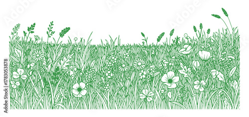 A collection of grass doodle sketches. It's a hand-drawn outline of a grassy field, with some scribbles in the background. Includes elements like sprouts, flowers, and clovers. Vector art.

