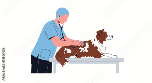 Caring veterinarian checking beautiful dog with stethoscope on examination table, promoting pet health and wellness in a modern veterinary clinic setting