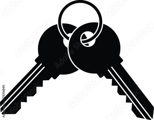Silhouette of two keys on keyring, security access symbol, lock and key concept, cad drawing flat vector illustration