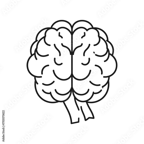 vector illustration of a brain, vector illustration of human brain, human brain vector illustration, 