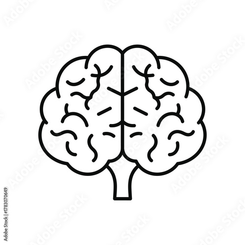 vector illustration of a brain, vector illustration of human brain, human brain vector illustration, 