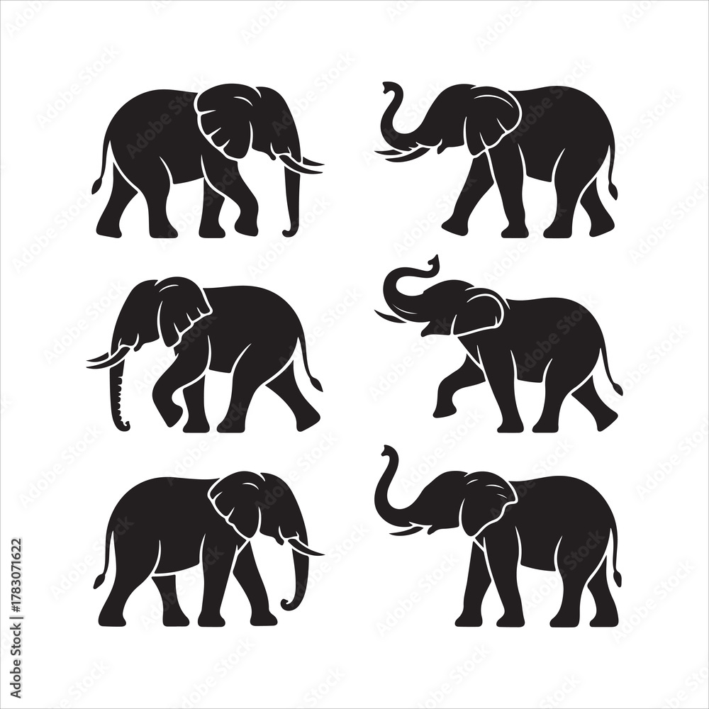 Fototapeta premium elephant vector silhouette, elephant silhouette set, elephant collection, wild elephant vector, elephant family, african elephant, asian elephant, jungle elephant vector, walking elephant, majestic el