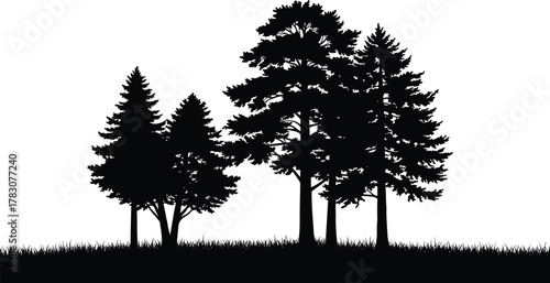 Silhouette of pine and fir trees on grassy field, forest landscape nature concept illustration for environment design, cad drawing flat vector illustration