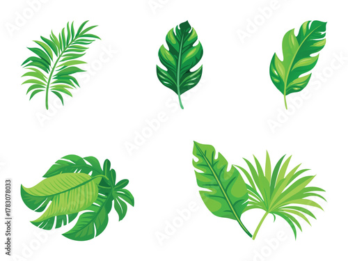 Vibrant green tropical leaves illustration with lush foliage and botanical elements perfect for nature themed designs and summer decor