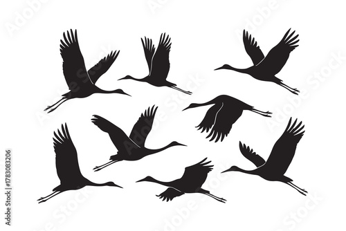 flying crane silhouette bundle collections