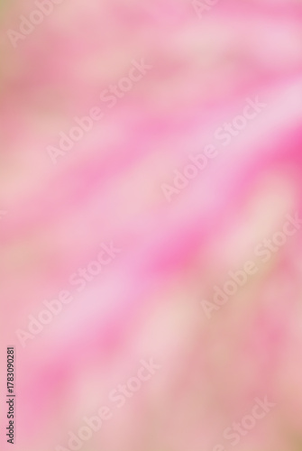 Pink background image, blurred image, suitable for making a beautiful, natural background image.