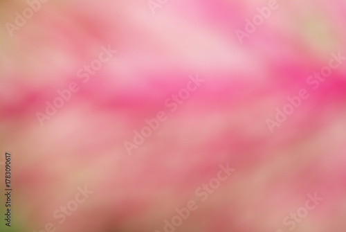 Pink background image, blurred image, suitable for making a beautiful, natural background image.