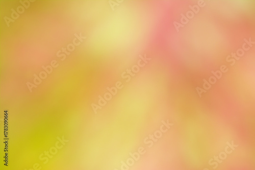 Pink background image, blurred image, suitable for making a beautiful, natural background image.
