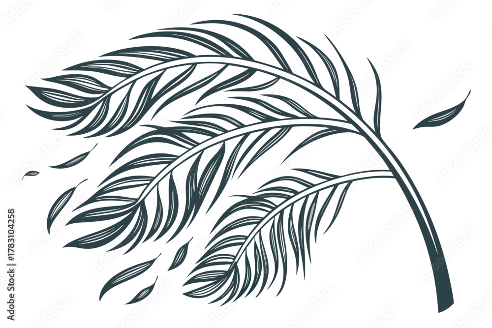 Obraz premium black and white feather