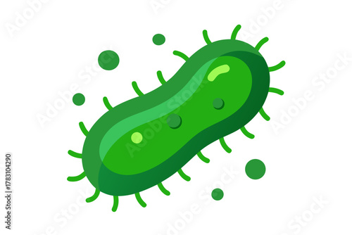 green cucumber isolated on white