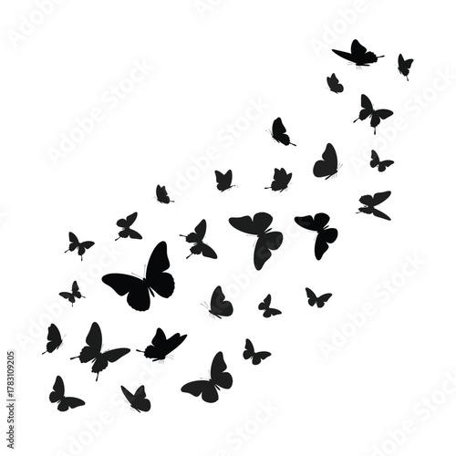 A swarm of butterflies in a dynamic silhouette formation