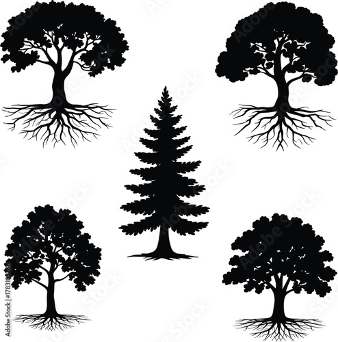 Five black tree silhouettes with exposed roots and varied canopy shapes, conifer center, deciduous corners, organic design, nature symbolism