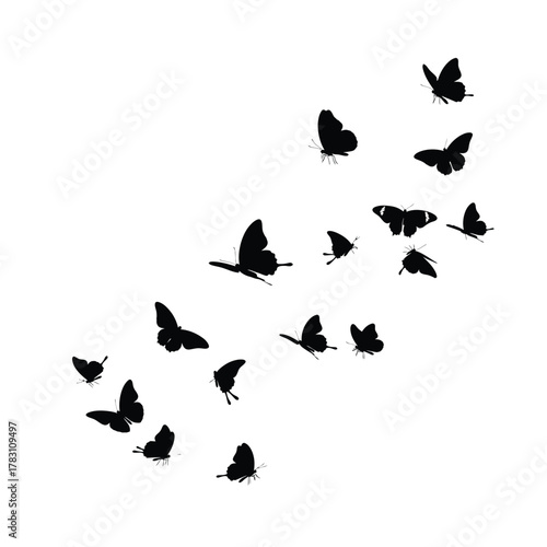 A swarm of delicate black butterfly silhouettes flying in a dynamic formation silhouette