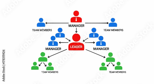 Hierarchical Organizational Structure with Leader Managers and Team Members.