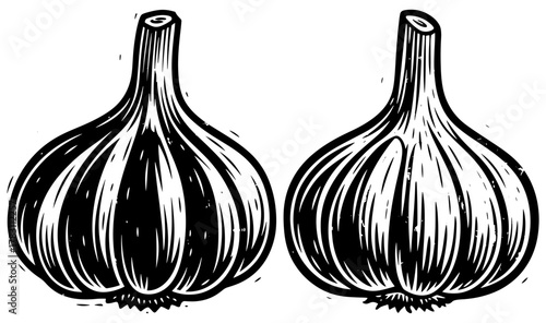 Two garlic bulbs, showcasing their distinct shapes and textures in a detailed, monochrome illustration style