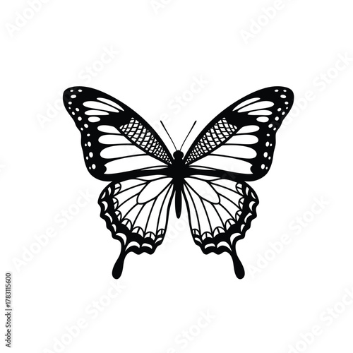Detailed black and white butterfly silhouette with intricate wing patterns silhouette