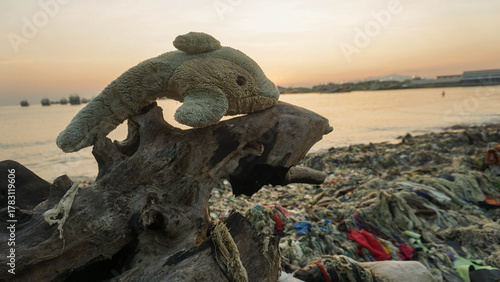 A dolphin doll stuck on a piece of wood along with the rubbish that washed up on the beach near the harbor and the fishing village settlement, photographed in the morning with calm seas 7