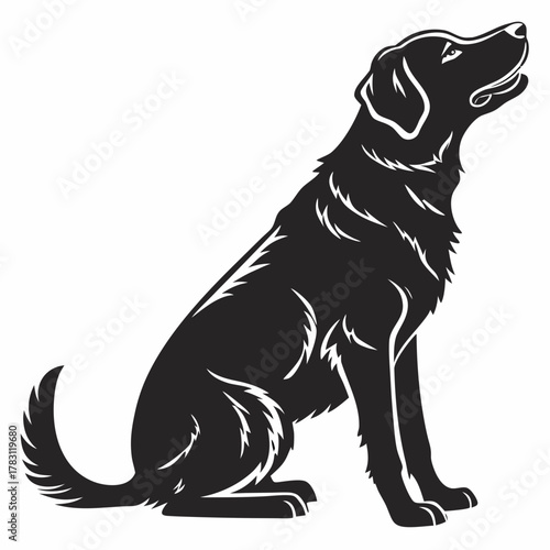 Silhouette of a Sitting Dog