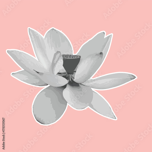  Elegant black and white lotus bouquet illustration in vector design. A rened and minimal oral composition symbolizing purity and serenity