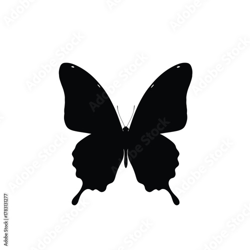 Elegant black butterfly silhouette with detailed wing patterns