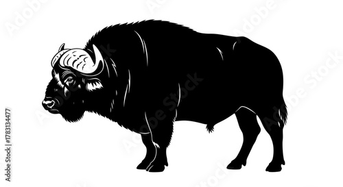 Black and White Silhouette of a Powerful Bull on White Background