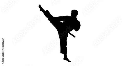 Dynamic silhouette of martial artist executing a powerful kick, embodying strength, focus, and discipline for fitness and combat sport themes