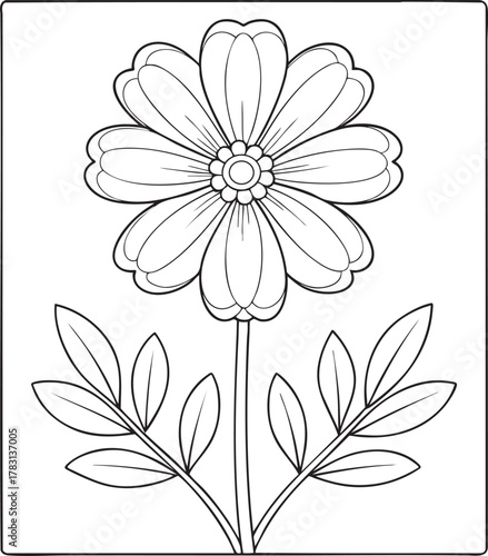 Cosmos flower line art drawing for coloring pages and botanical floral design