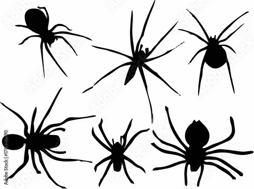 Spider Silhouette Vector.eps