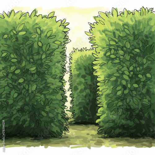 Vector illustration of plant hedges drawn in impressionist-inspired vector brush strokes