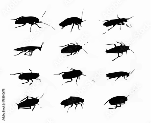 Cockroach Silhouettes.eps