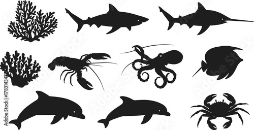 Marine animal silhouettes, shark, dolphin, octopus, swordfish, crab, coral reef, underwater wildlife, ocean creatures, sea life, black vector icons