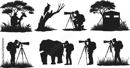 Wildlife photographers capturing animals in African safari, professional nature photography silhouettes with cameras, tripods, trees, and wildlife scene