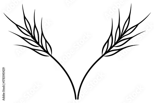 wheat ears vector
