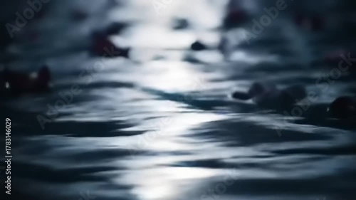 Water surface with floating leaves.