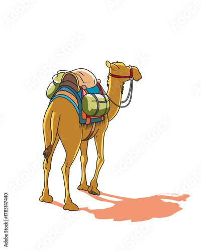 Camel Cartoon 