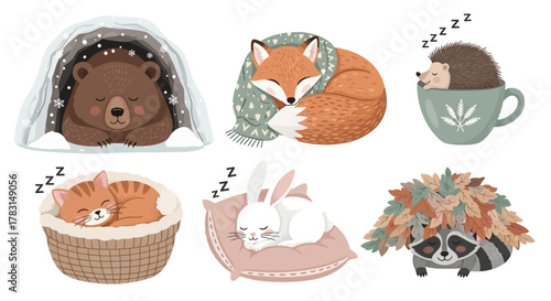 Cute animals sleeping: bear in cave, fox with scarf, hedgehog in cup, cat in basket, rabbit on pillow, raccoon with leaves.