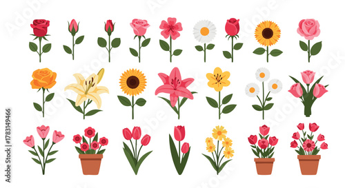 Colorful Vector Flower Set  Roses, Tulips, Sunflowers, Daisies, Lilies, and Potted Plants.
