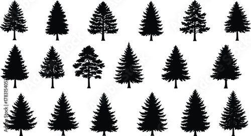Black pine and spruce tree silhouette collection, forest evergreen vector illustration, nature landscape elements for design, decoration, and environmental projects