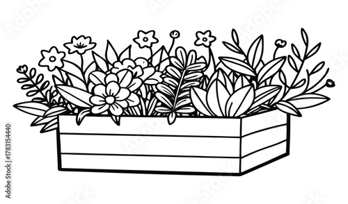 Hand drawn illustration of a wooden planter box filled with various plants and flowers