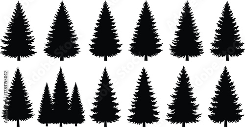 Black pine tree silhouette collection, detailed evergreen forest vector illustration, conifer tree set for nature, winter, Christmas, and outdoor landscape design use