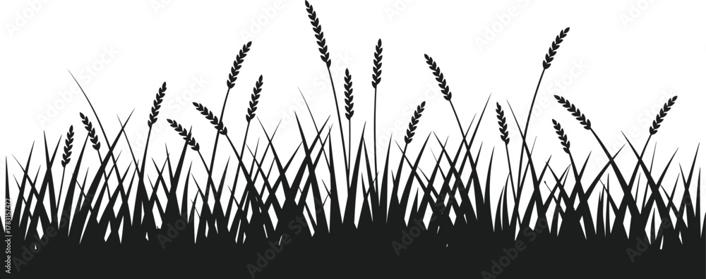 Fototapeta premium Black silhouette of wheat grass bed on white background 1