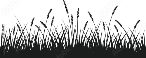 Black silhouette of wheat grass bed on white background 1