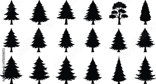 Black silhouette pine tree collection, evergreen forest vector set, coniferous tree icons, Christmas spruce shapes, nature design elements for illustration and decoration, isolated.