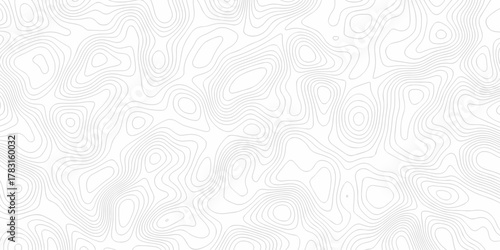 Minimal white line geometric grid outline curve counter map and wavy topography relief discovery area white, black line texture background.	
