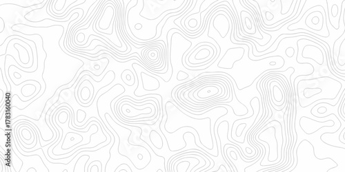 Minimal white line geometric grid outline curve counter map and wavy topography relief discovery area white, black line texture background.	

