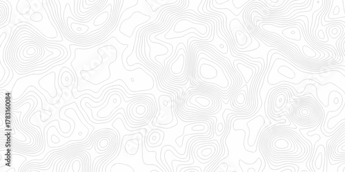 Minimal white line geometric grid outline curve counter map and wavy topography relief discovery area white, black line texture background.	
