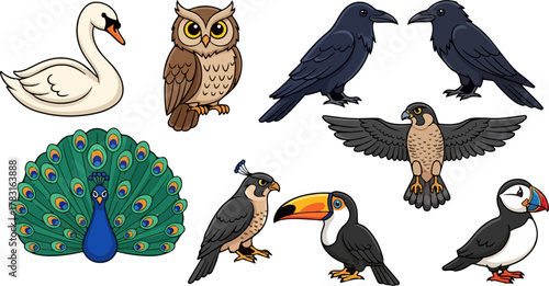 A colorful collection of assorted wild bird illustrations, featuring a swan, owl, peacock, crow, falcon, toucan, and puffin in a cartoon vector style
